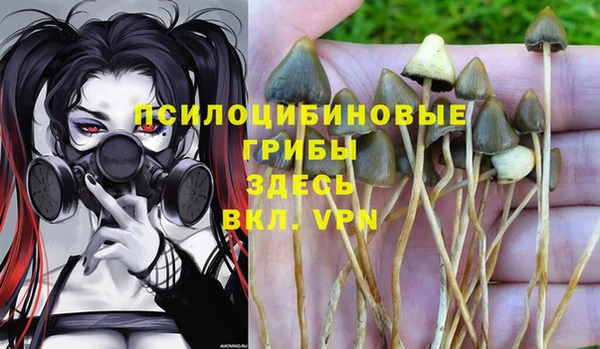 не бодяженный Инта