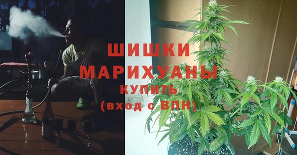 не бодяженный Инта