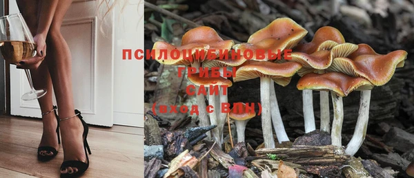 марки lsd Инсар