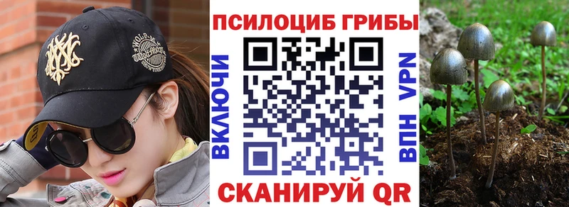 Псилоцибиновые грибы ЛСД  Купить  Кедровый 
